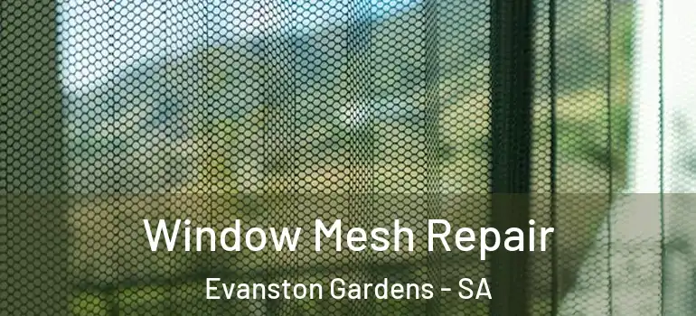 Window Mesh Repair Evanston Gardens - SA