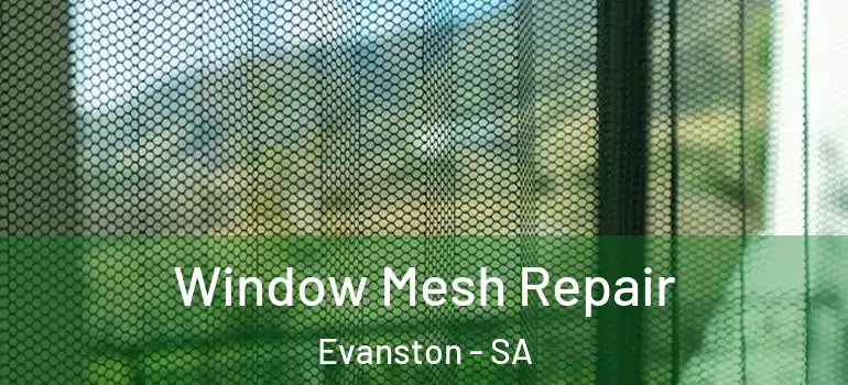Window Mesh Repair Evanston - SA