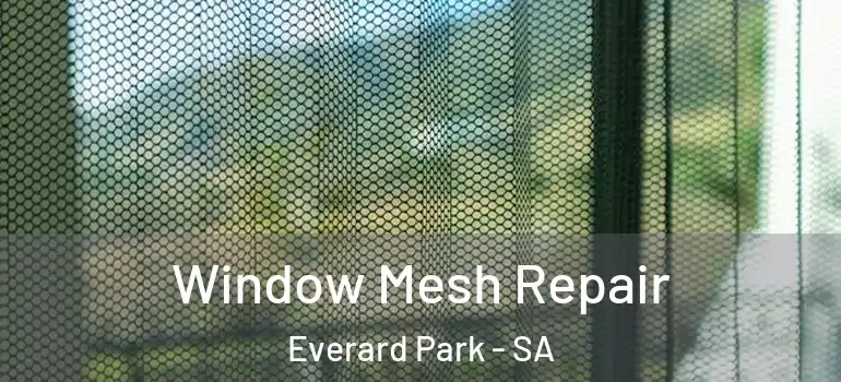  Window Mesh Repair Everard Park - SA