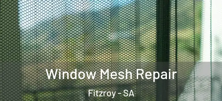 Window Mesh Repair Fitzroy - SA