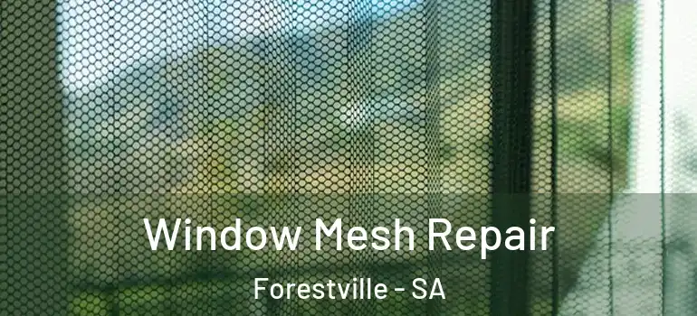 Window Mesh Repair Forestville - SA