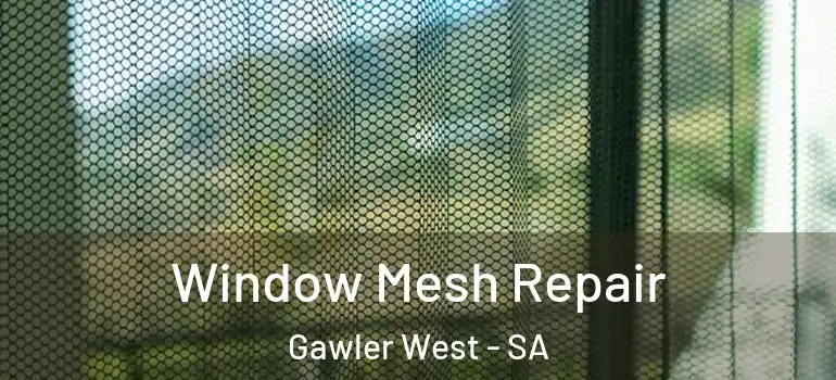 Window Mesh Repair Gawler West - SA