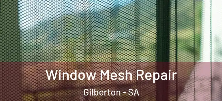 Window Mesh Repair Gilberton - SA