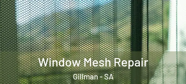 Window Mesh Repair Gillman - SA