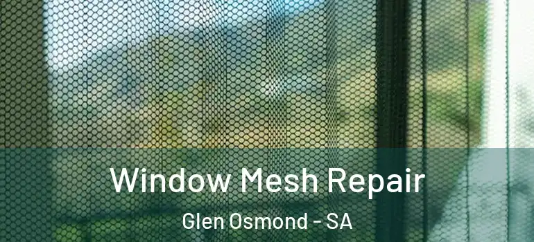 Window Mesh Repair Glen Osmond - SA