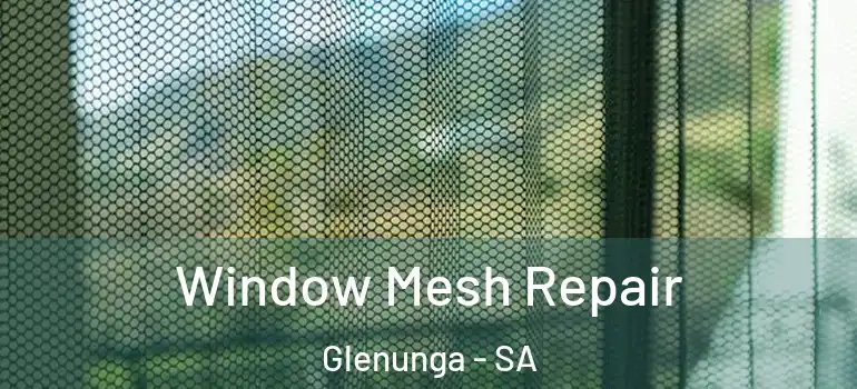 Window Mesh Repair Glenunga - SA