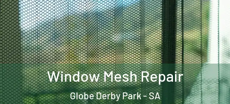Window Mesh Repair Globe Derby Park - SA