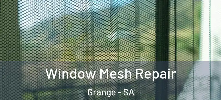 Window Mesh Repair Grange - SA
