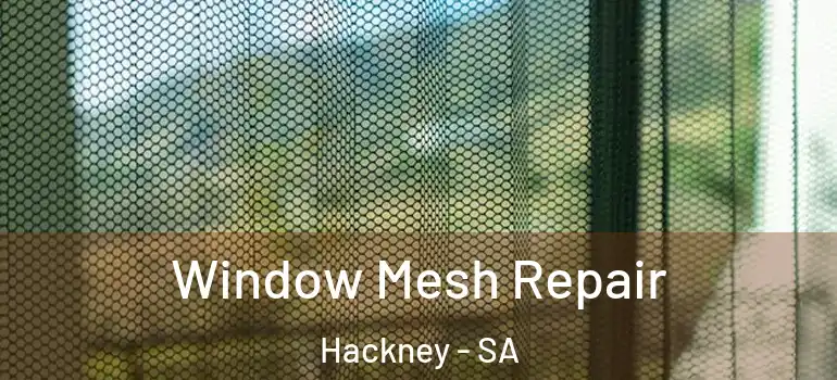 Window Mesh Repair Hackney - SA