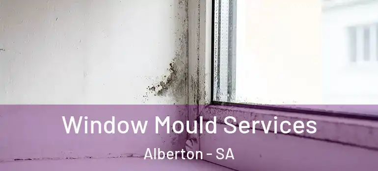 Window Mould Services Alberton - SA