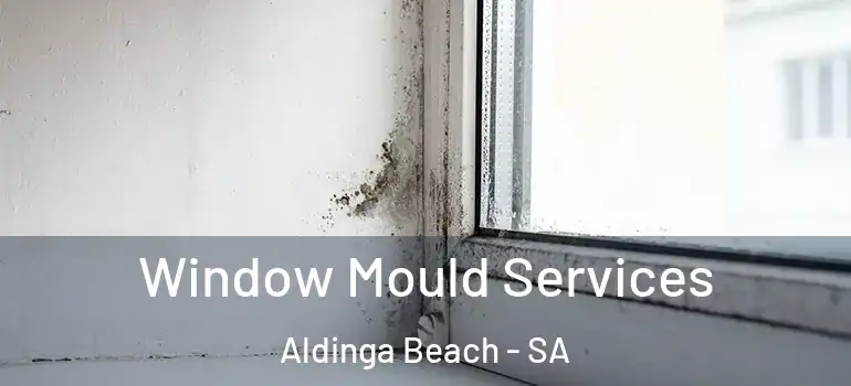 Window Mould Services Aldinga Beach - SA