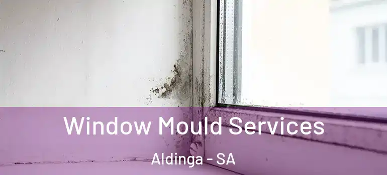 Window Mould Services Aldinga - SA