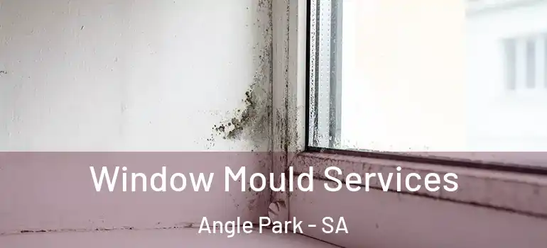 Window Mould Services Angle Park - SA