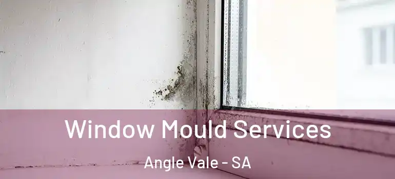 Window Mould Services Angle Vale - SA