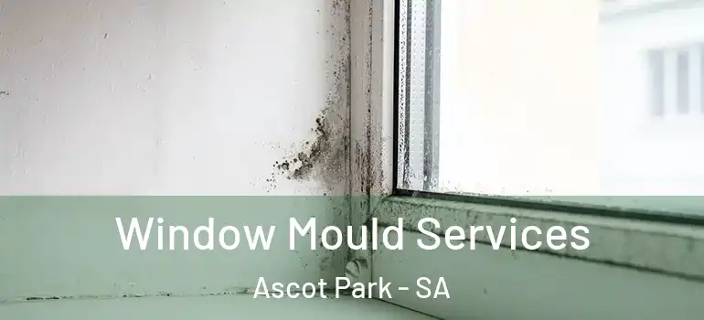 Window Mould Services Ascot Park - SA