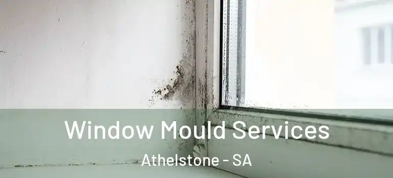 Window Mould Services Athelstone - SA