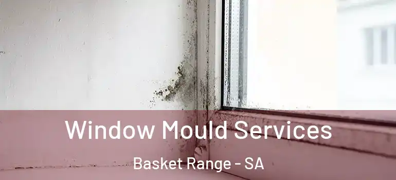 Window Mould Services Basket Range - SA