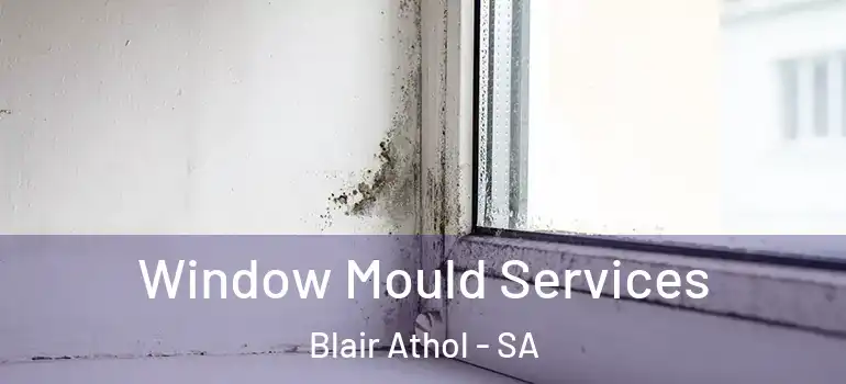Window Mould Services Blair Athol - SA