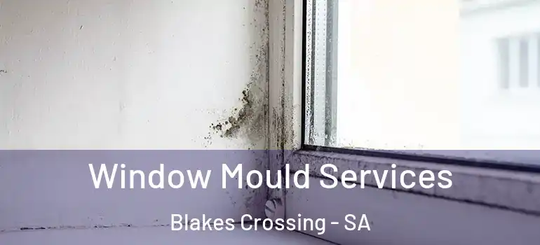 Window Mould Services Blakes Crossing - SA