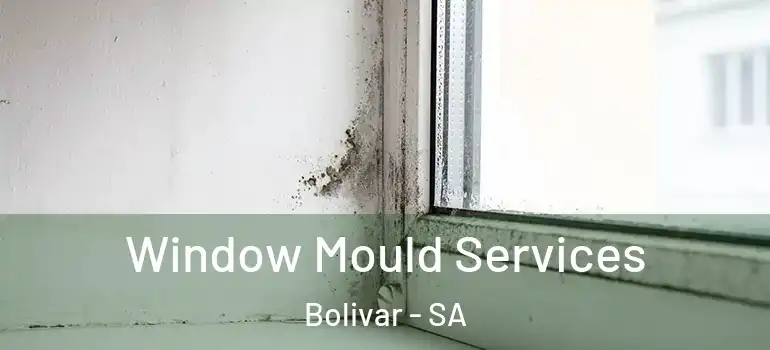 Window Mould Services Bolivar - SA