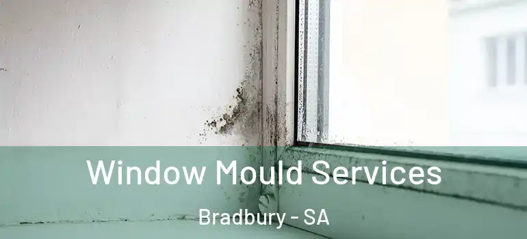 Window Mould Services Bradbury - SA
