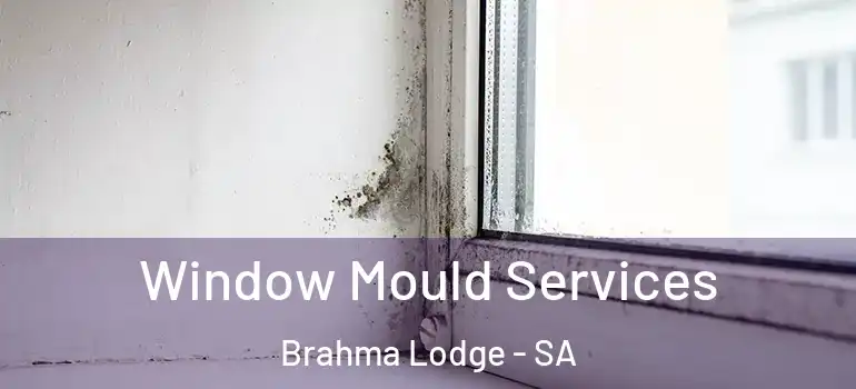  Window Mould Services Brahma Lodge - SA