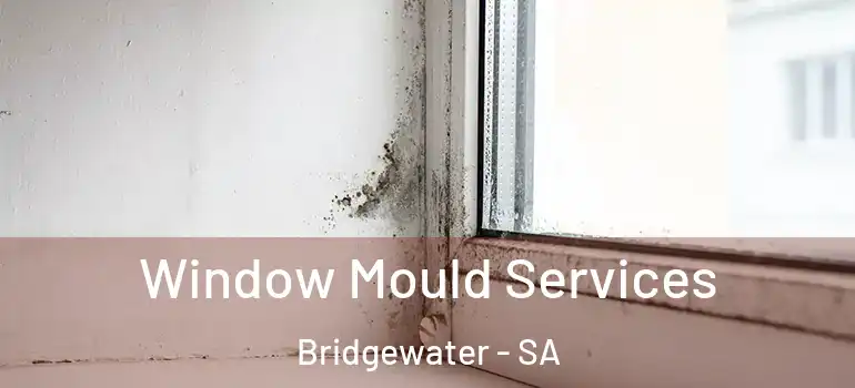 Window Mould Services Bridgewater - SA