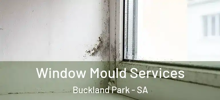 Window Mould Services Buckland Park - SA