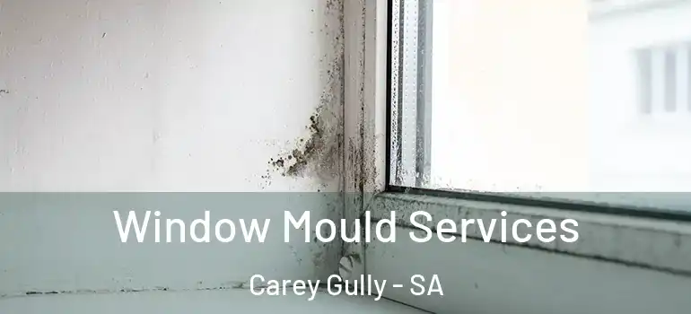 Window Mould Services Carey Gully - SA