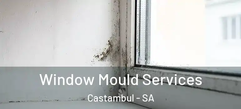 Window Mould Services Castambul - SA