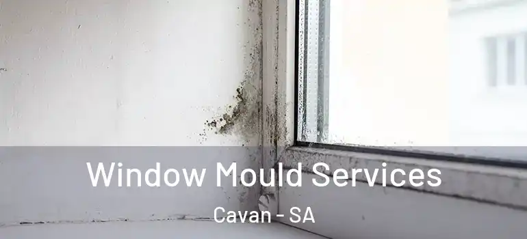 Window Mould Services Cavan - SA