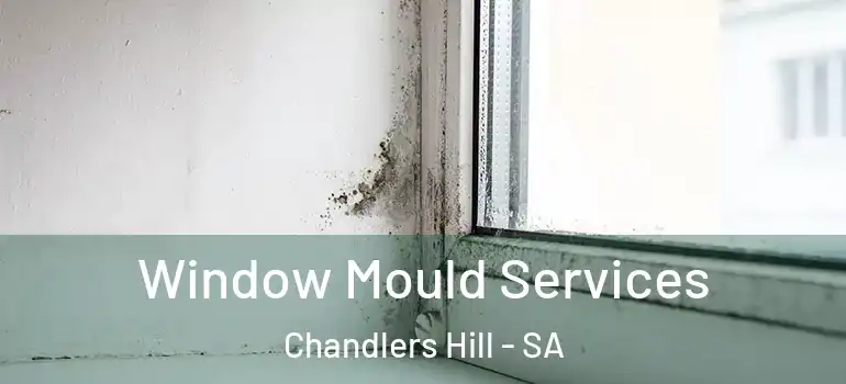 Window Mould Services Chandlers Hill - SA