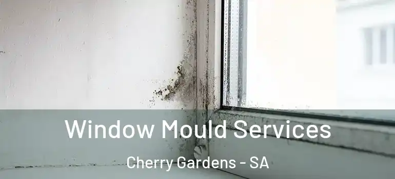 Window Mould Services Cherry Gardens - SA