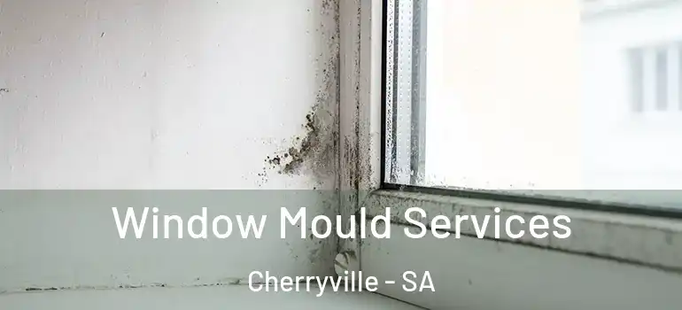  Window Mould Services Cherryville - SA