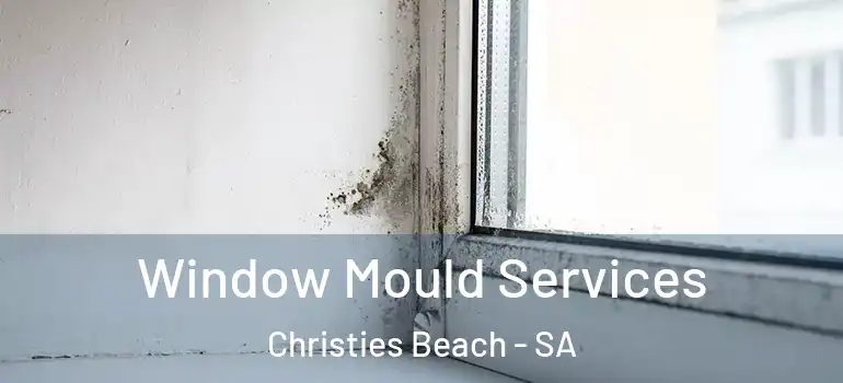 Window Mould Services Christies Beach - SA