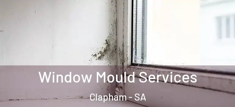 Window Mould Services Clapham - SA