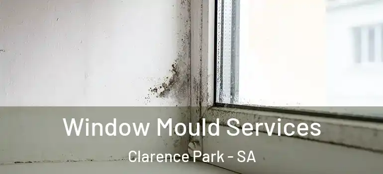 Window Mould Services Clarence Park - SA