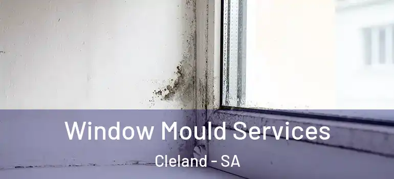Window Mould Services Cleland - SA