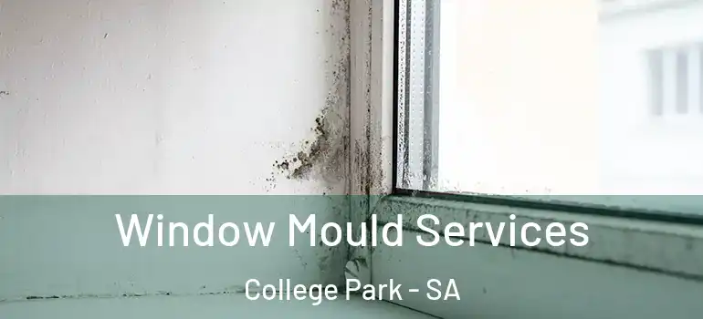 Window Mould Services College Park - SA