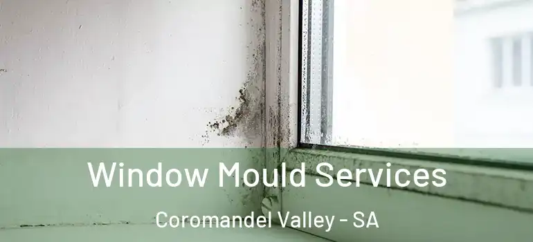 Window Mould Services Coromandel Valley - SA