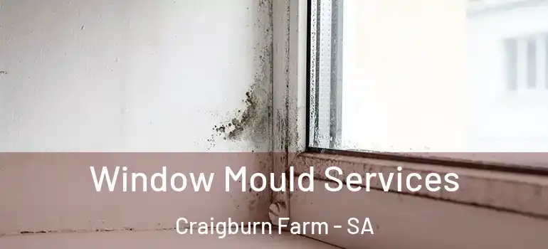 Window Mould Services Craigburn Farm - SA
