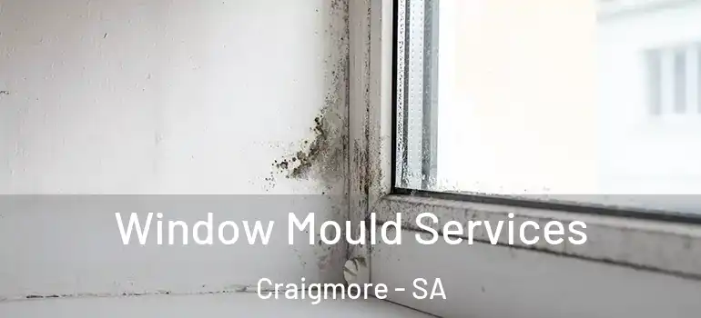 Window Mould Services Craigmore - SA