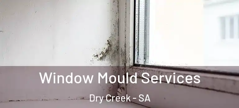  Window Mould Services Dry Creek - SA