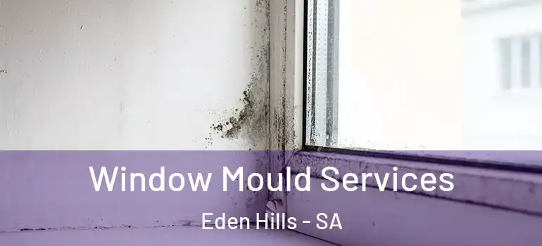 Window Mould Services Eden Hills - SA