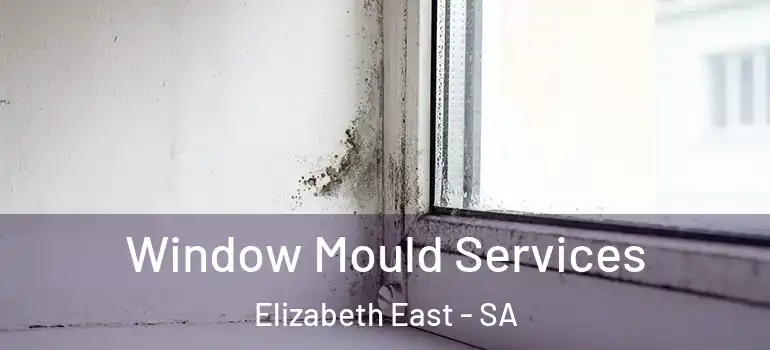 Window Mould Services Elizabeth East - SA