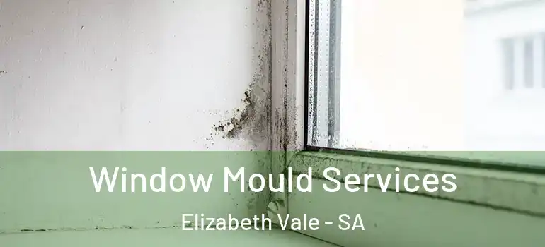 Window Mould Services Elizabeth Vale - SA