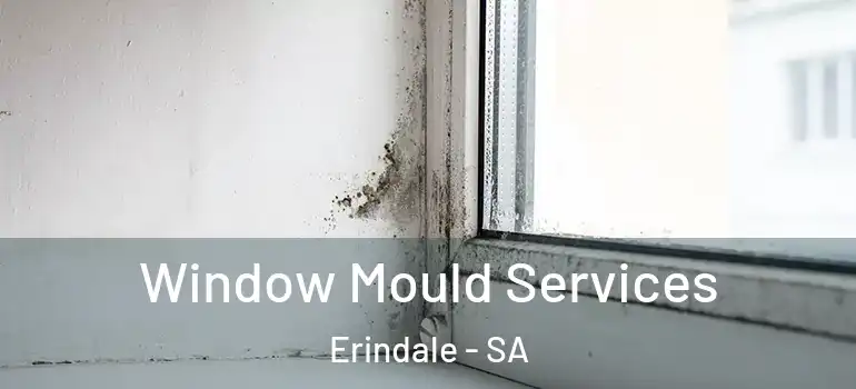 Window Mould Services Erindale - SA
