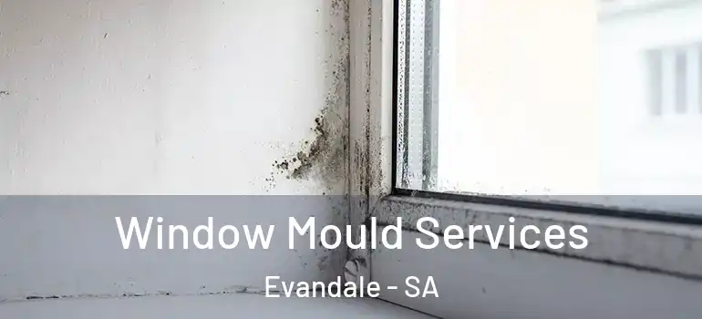 Window Mould Services Evandale - SA