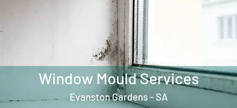 Window Mould Services Evanston Gardens - SA