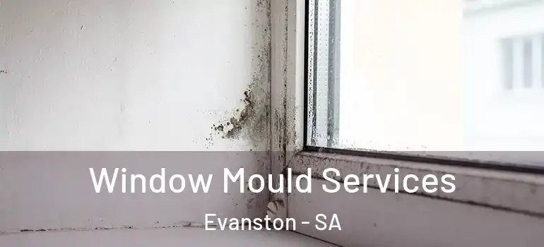  Window Mould Services Evanston - SA